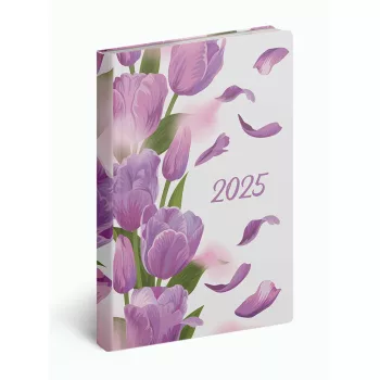   Zsebnaptár Fiestina hölgyeknek B/6 napi levél Realsystem 2022.