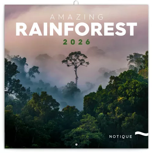 Falinaptár képes lemeznaptár 300x300mm, Amazing Rainforest Realsystem 2026.