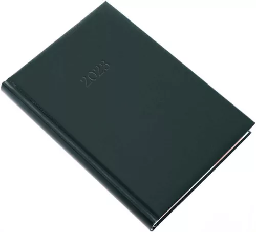 Határidőnapló Amigo A/5 napi zöld Realsystem 2026.