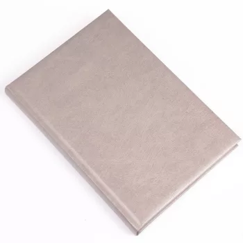   Határidőnapló Standard B/5, napi fehér lapokkal drapp Realsystem 2024.