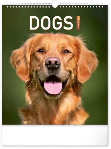 Falinaptár képes  300x340mm Dogs Realsystem 2024.