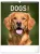 Falinaptár képes  300x340mm Dogs Realsystem 2024.