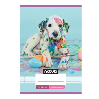  Füzet, A5, 1. osztályos vonalas, 14-32, Cuki minták, 16 db/csomag Nebulo
