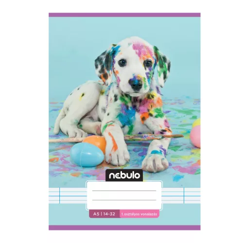 Füzet, A5, 1. osztályos vonalas, 14-32, Cuki minták, 16 db/csomag Nebulo