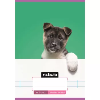   Füzet, A5, 3. osztályos vonalas, 12-32, Cuki minták, 16 db/csomag Nebulo