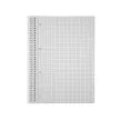 Spirálfüzet A4, 80lap, perforált lyukasztott Evoffice kockás