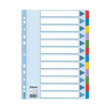   Regiszter, laminált karton, A4, 12 részes, ESSELTE "Mylar"
