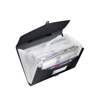   Harmonikatáska, A4, PP, 12 rekeszes, ESSELTE "Vivida", fekete