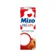 TEJ1MIZO28